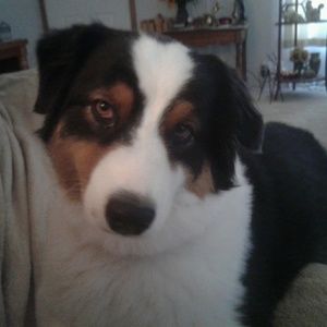 Meet your Posher, Victoria